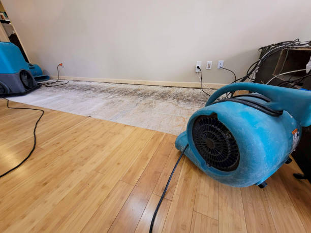 Professional Water Removal technician working in Amherst, OH